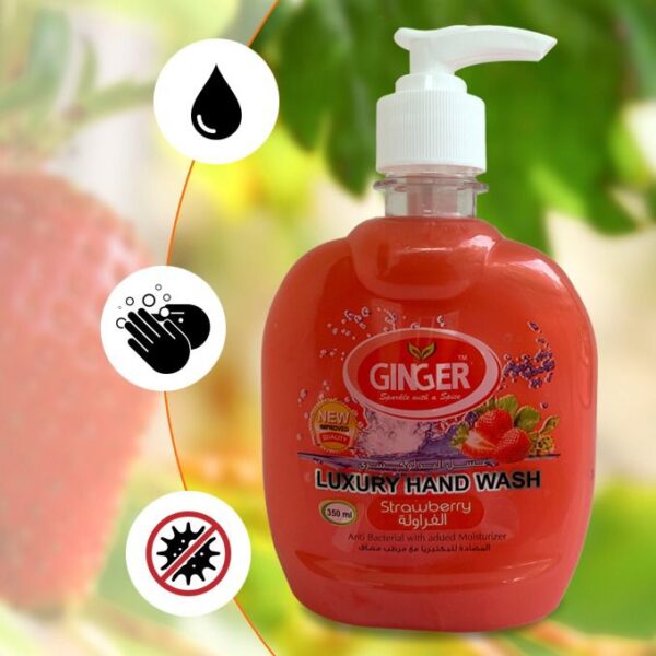 Luxury Hand Wash (Strawberry Flavor)