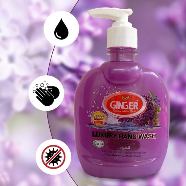 Luxury Hand Wash (Grape Flavor)