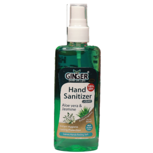 Hand Sanitizer 100ml Aloe Vera Flavor