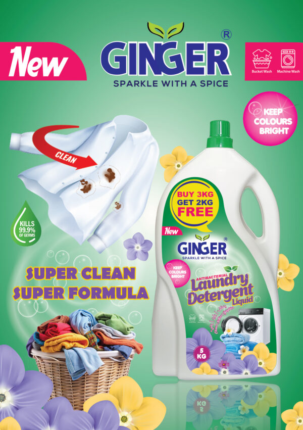 Antibacterial Detergent liquid 5 kg (Green) - Image 2